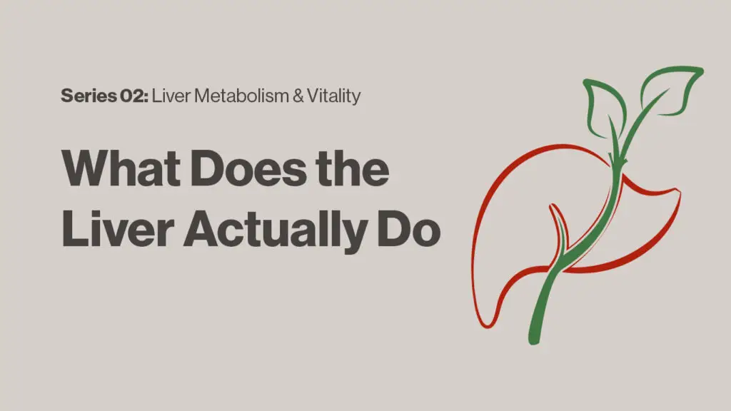 liver detoxification