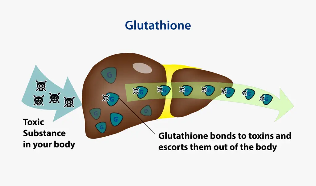 Glutathione