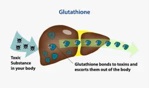 Glutathione